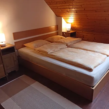 House Podhamer Marijan - Private Wellness Holiday home Ljutomer